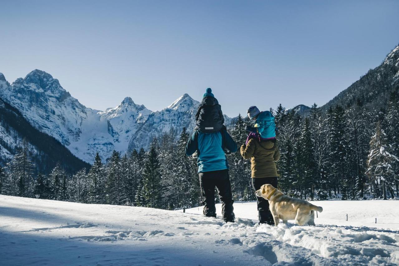 Apartma Borovc Mojstrana Exteriér fotografie