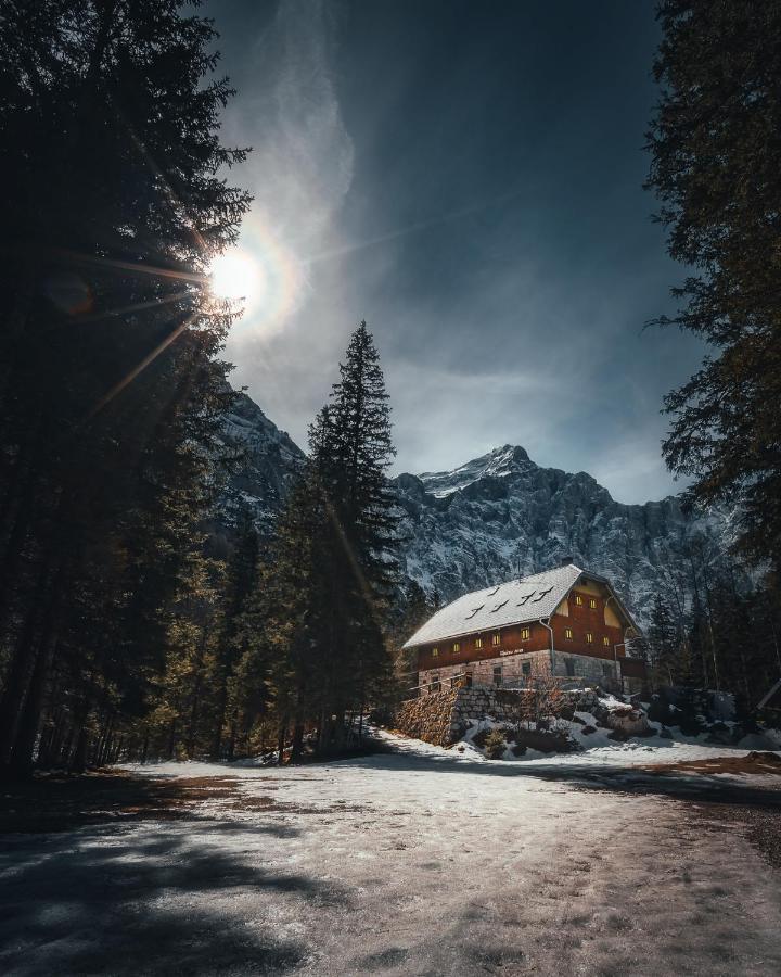 Apartma Borovc Mojstrana Exteriér fotografie