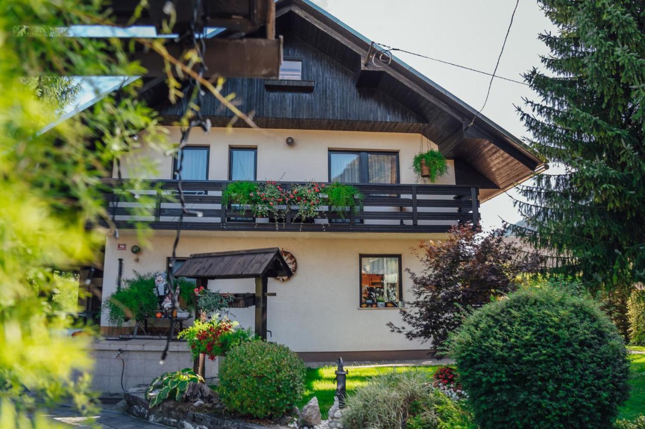 Apartma Borovc Mojstrana Exteriér fotografie
