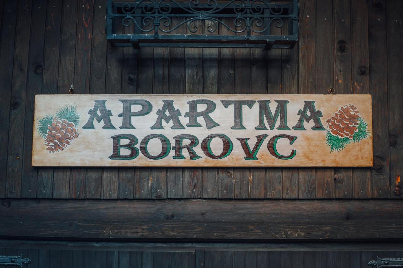Apartma Borovc Mojstrana Exteriér fotografie