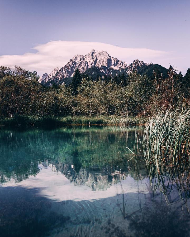 Apartma Borovc Mojstrana Exteriér fotografie