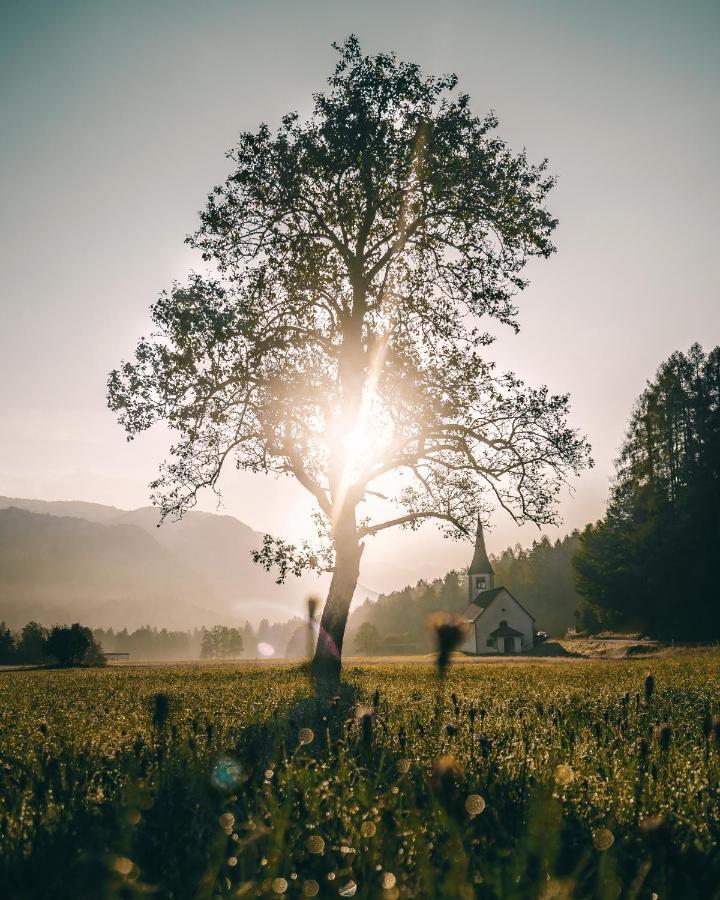 Apartma Borovc Mojstrana Exteriér fotografie